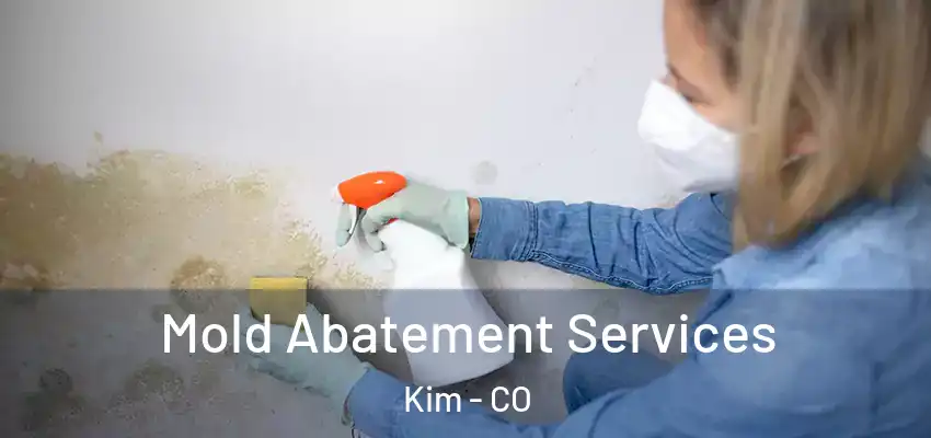  Mold Abatement Services Kim - CO