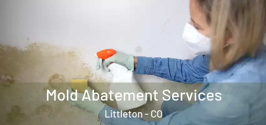  Mold Abatement Services Littleton - CO