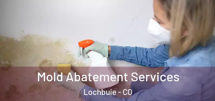 Mold Abatement Services Lochbuie - CO
