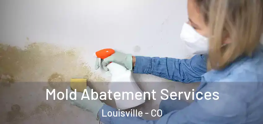  Mold Abatement Services Louisville - CO
