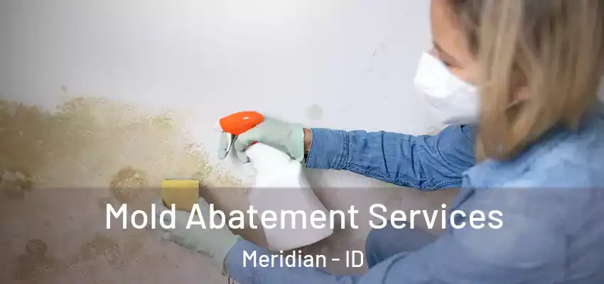  Mold Abatement Services Meridian - ID