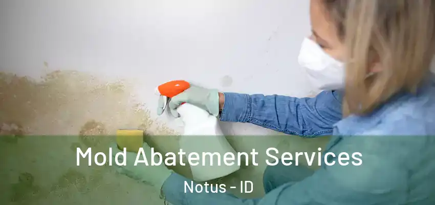  Mold Abatement Services Notus - ID