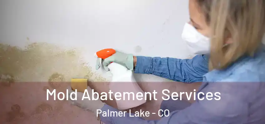  Mold Abatement Services Palmer Lake - CO