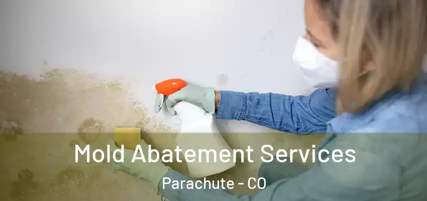 Mold Abatement Services Parachute - CO