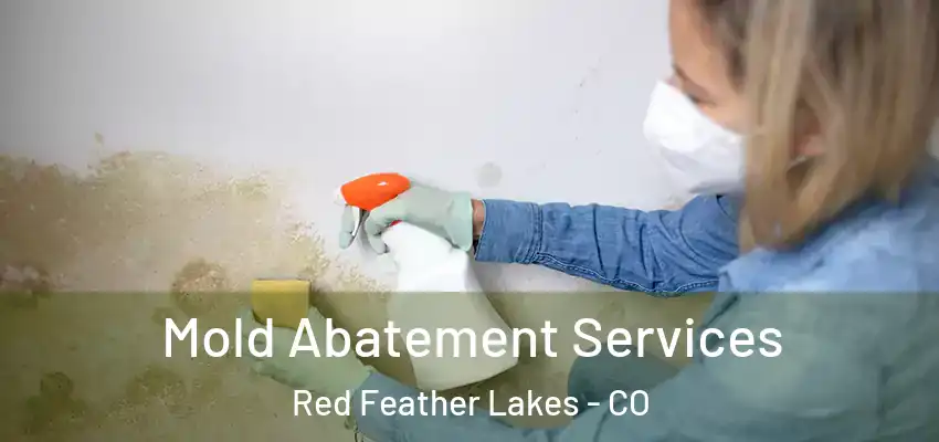  Mold Abatement Services Red Feather Lakes - CO