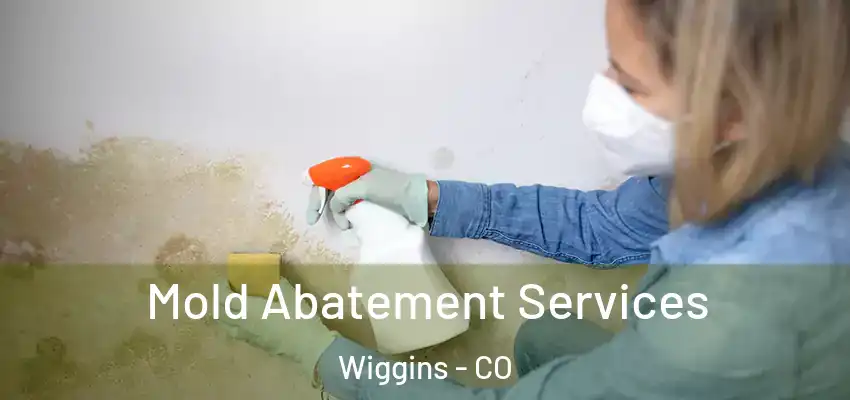 Mold Abatement Services Wiggins - CO