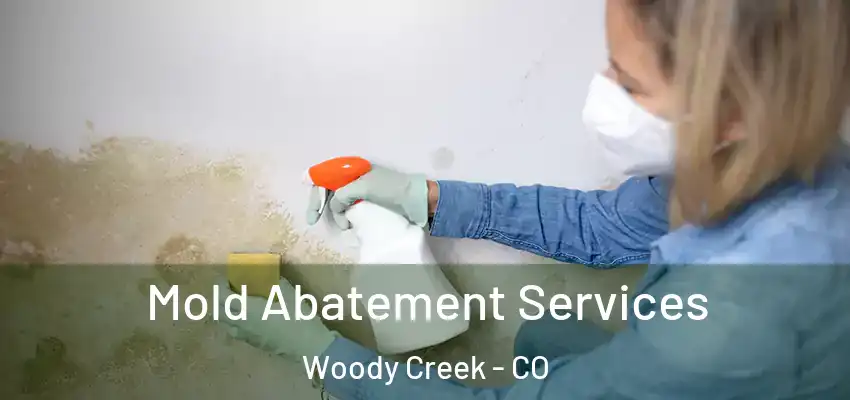  Mold Abatement Services Woody Creek - CO