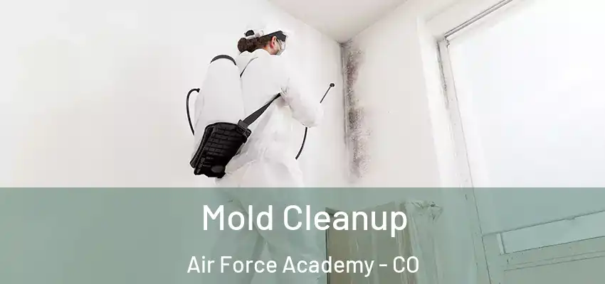  Mold Cleanup Air Force Academy - CO