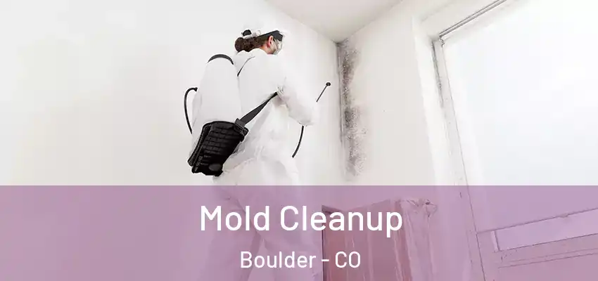  Mold Cleanup Boulder - CO