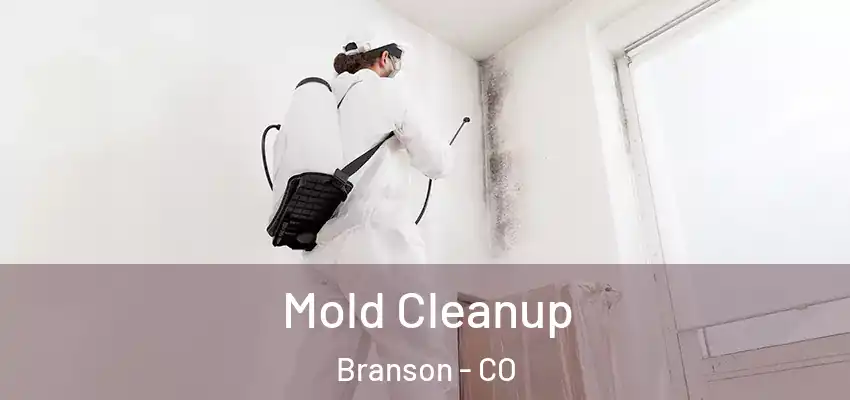  Mold Cleanup Branson - CO