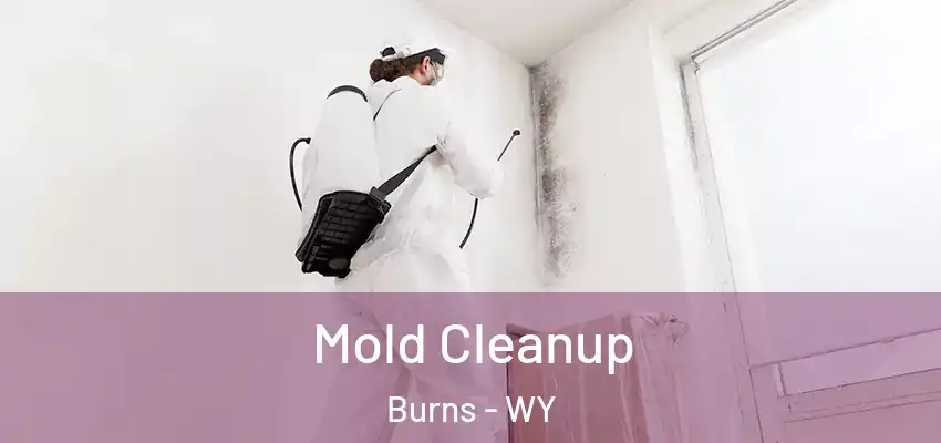  Mold Cleanup Burns - WY