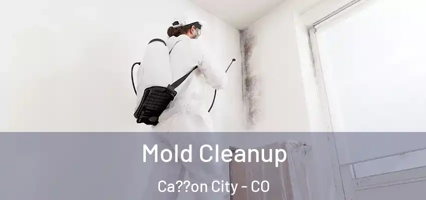 Mold Cleanup Ca??on City - CO