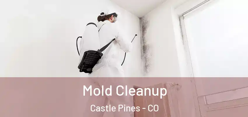  Mold Cleanup Castle Pines - CO