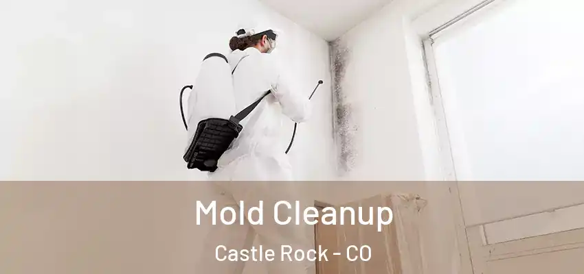  Mold Cleanup Castle Rock - CO