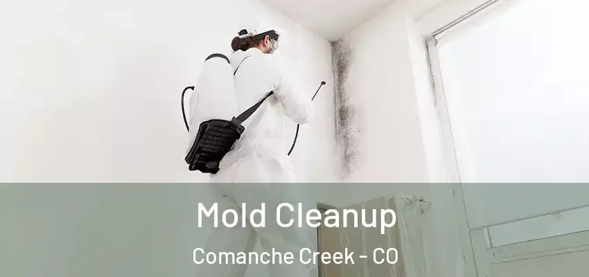  Mold Cleanup Comanche Creek - CO