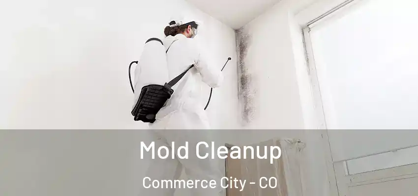  Mold Cleanup Commerce City - CO