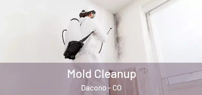 Mold Cleanup Dacono - CO