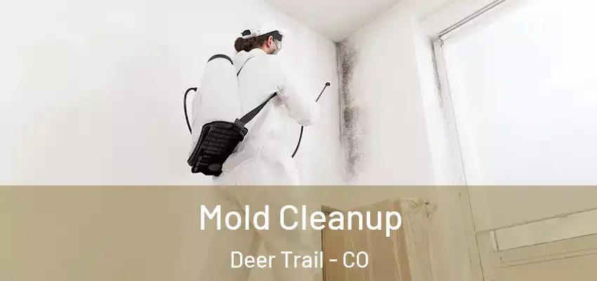 Mold Cleanup Deer Trail - CO