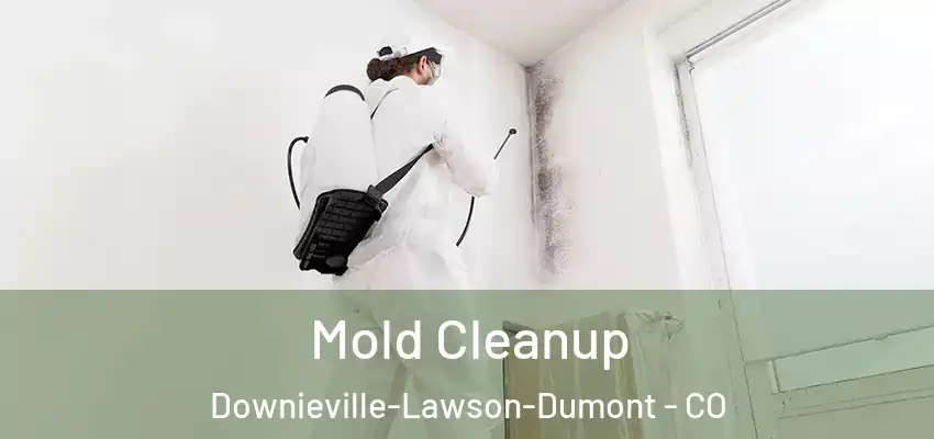  Mold Cleanup Downieville-Lawson-Dumont - CO