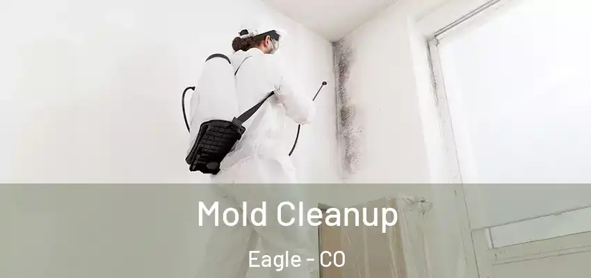 Mold Cleanup Eagle - CO