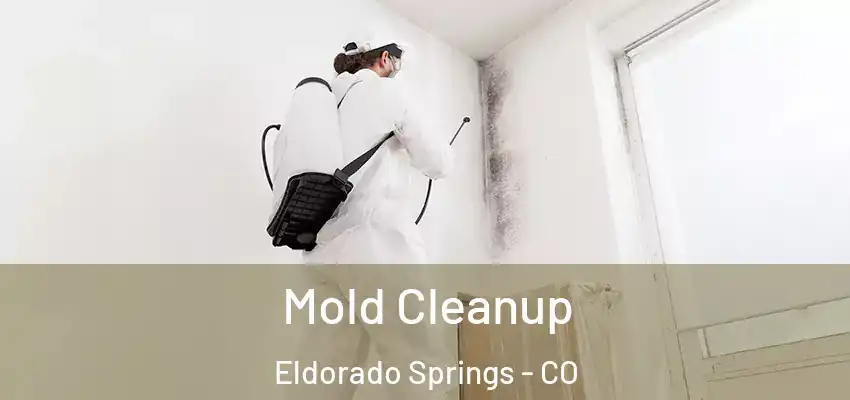  Mold Cleanup Eldorado Springs - CO