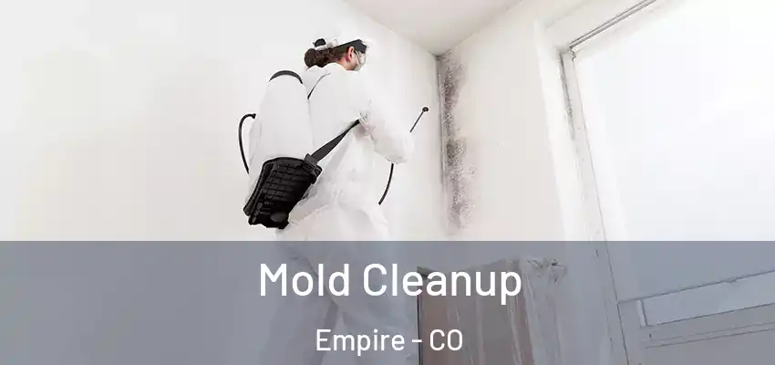Mold Cleanup Empire - CO