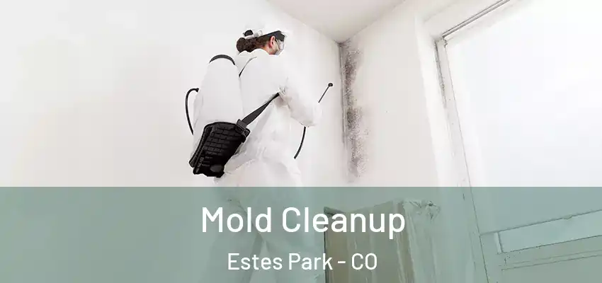  Mold Cleanup Estes Park - CO