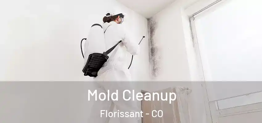 Mold Cleanup Florissant - CO