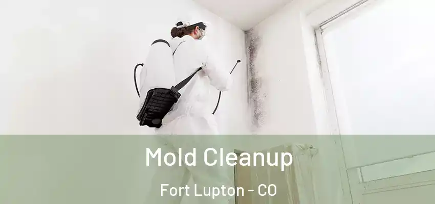 Mold Cleanup Fort Lupton - CO