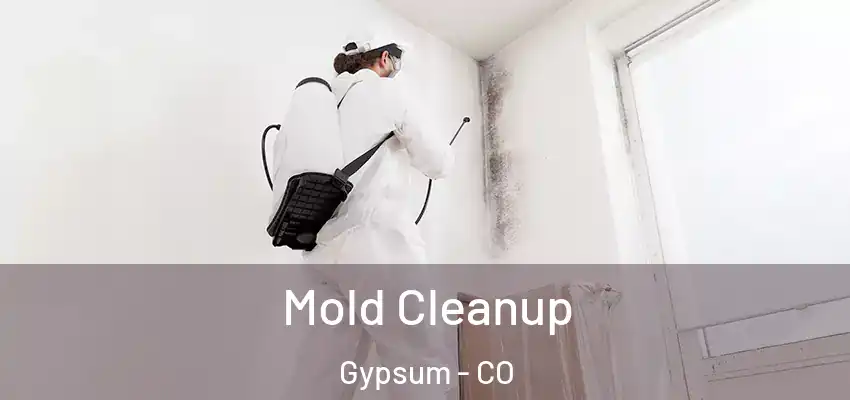  Mold Cleanup Gypsum - CO