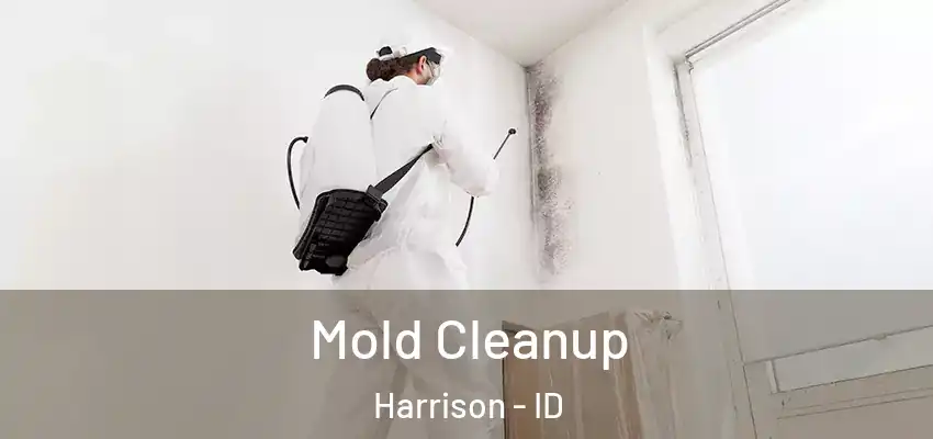  Mold Cleanup Harrison - ID