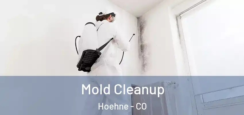 Mold Cleanup Hoehne - CO