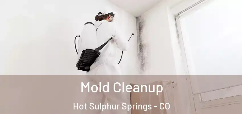  Mold Cleanup Hot Sulphur Springs - CO