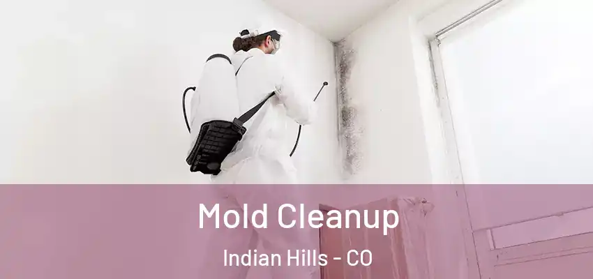 Mold Cleanup Indian Hills - CO