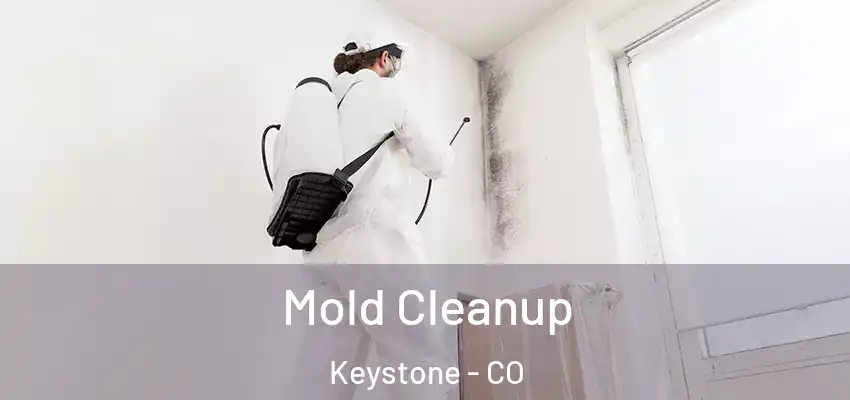 Mold Cleanup Keystone - CO