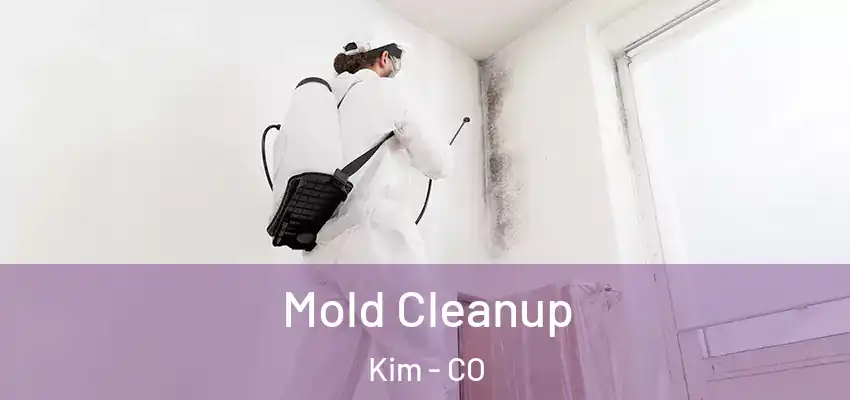 Mold Cleanup Kim - CO