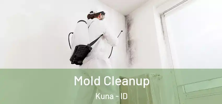 Mold Cleanup Kuna - ID