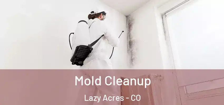  Mold Cleanup Lazy Acres - CO