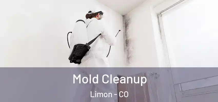 Mold Cleanup Limon - CO