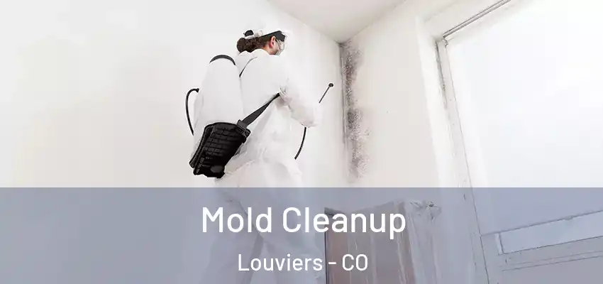  Mold Cleanup Louviers - CO