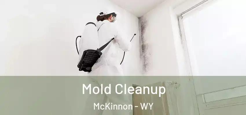 Mold Cleanup McKinnon - WY