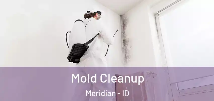  Mold Cleanup Meridian - ID