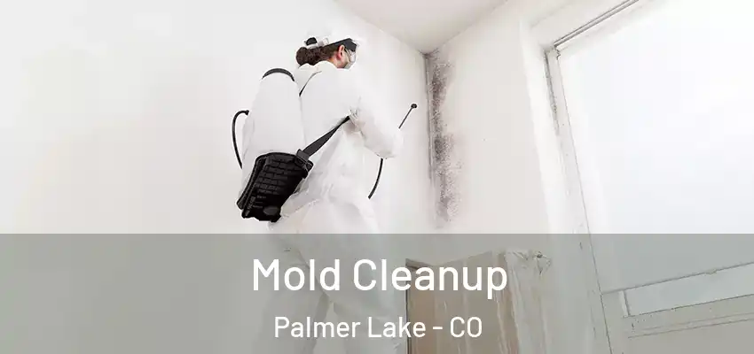 Mold Cleanup Palmer Lake - CO
