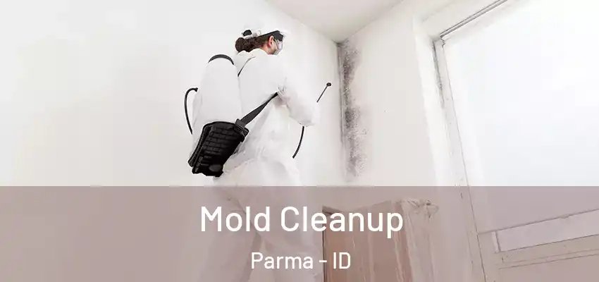  Mold Cleanup Parma - ID
