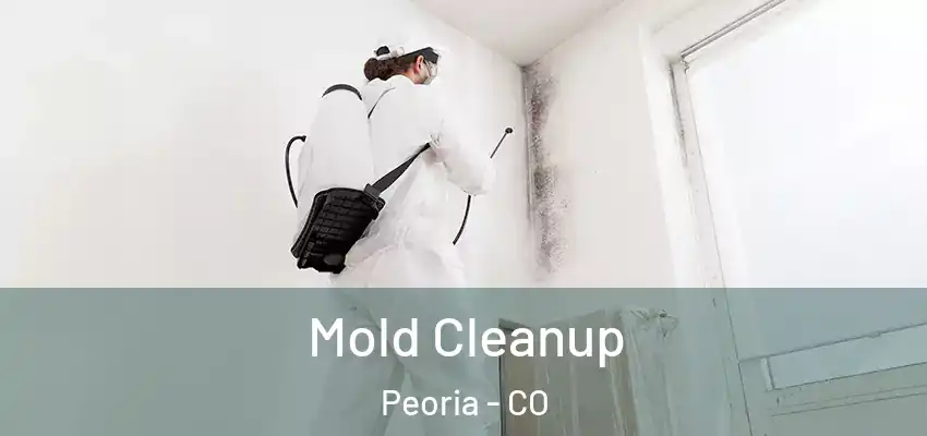 Mold Cleanup Peoria - CO