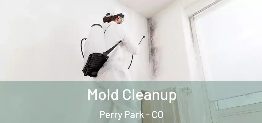 Mold Cleanup Perry Park - CO
