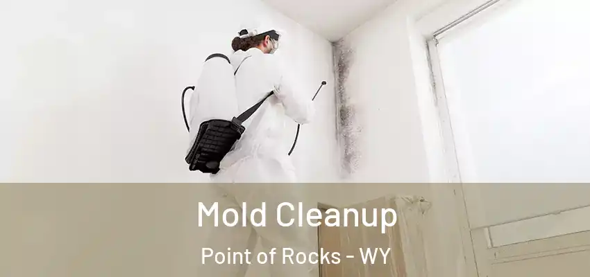  Mold Cleanup Point of Rocks - WY