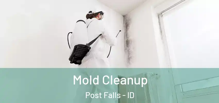  Mold Cleanup Post Falls - ID