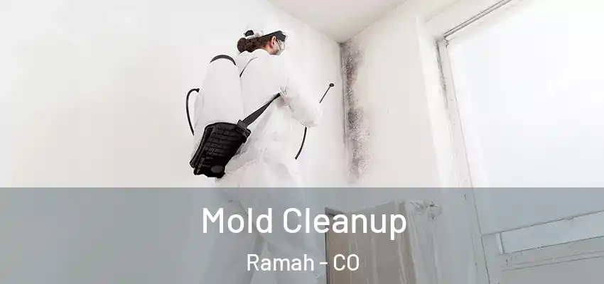 Mold Cleanup Ramah - CO
