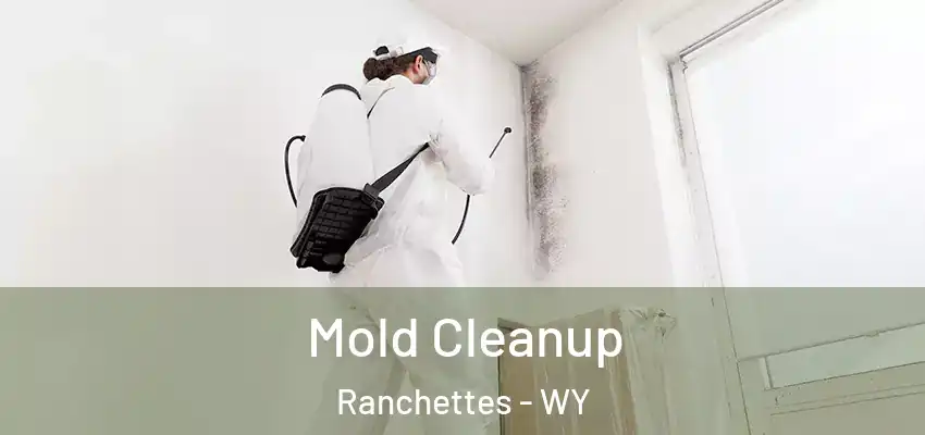 Mold Cleanup Ranchettes - WY